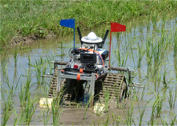 画像認識AIを搭載した水田除草ロボット