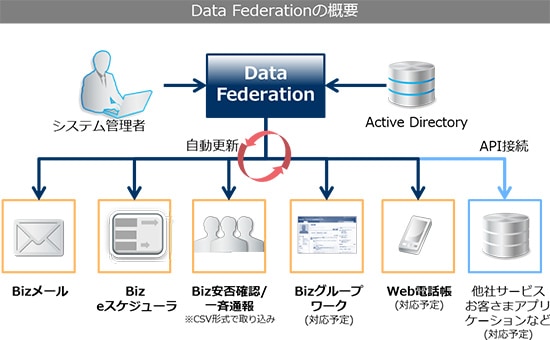 Data Federationの概要