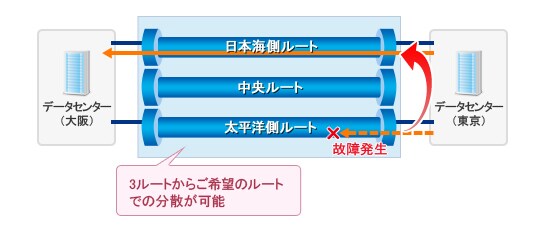 fig_top03 3ルートからご希望のルートでの分散が可能