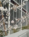 spring-summer zone