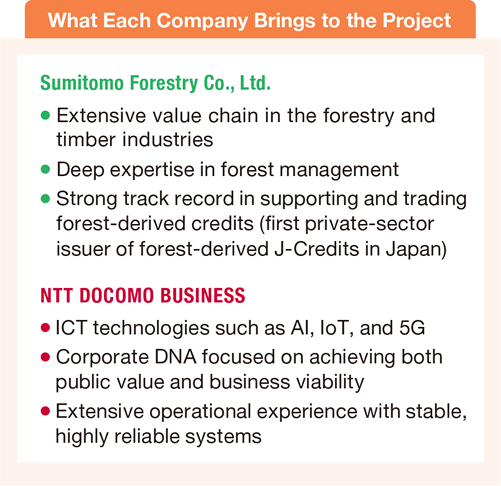 What Each Company Brings to the Project