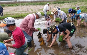 Woodlands Conservation Initiative