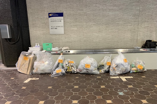 Chiyoda Ward Cleanup2