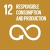 Goal 12: Ensure sustainable consumption and production patterns