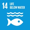Goal 14: Conserve and sustainably use the oceans, seas and marine resources