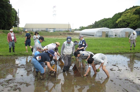 Woodlands Conservation Initiative1