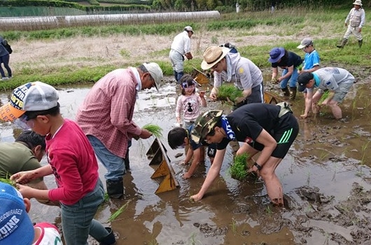 Woodlands Conservation Initiative4