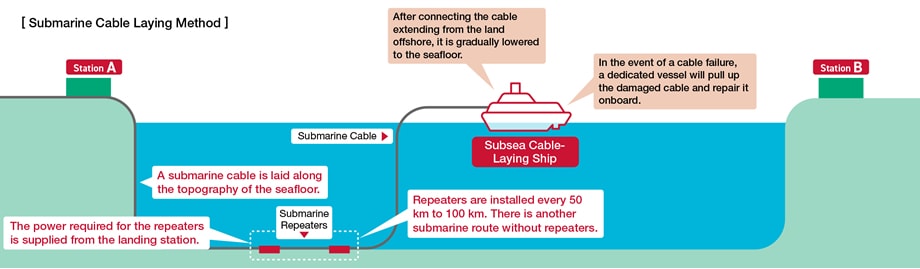 Growing Importance as a Communications Infrastructure