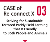 CASE of Re-connect X 03