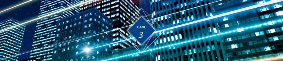Case 3