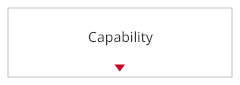 Capability
