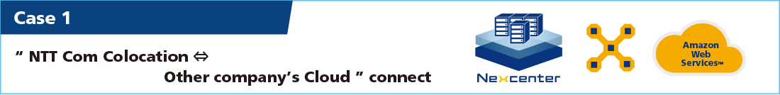 利用シーン１NTT Comコロケーション↔︎他社クラウド接続