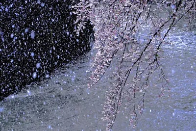 社長賞「凍える春」