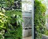 セラングーン データセンターの、緑で環境に同化させた貯水タンク