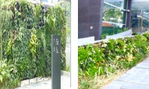 現地固有の樹相を反映したグリーンエリア