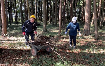 里山保全活動3