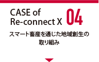 CASE of Re-connect X 04