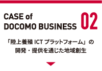 CASE of DOCOMO BUSINESS 02