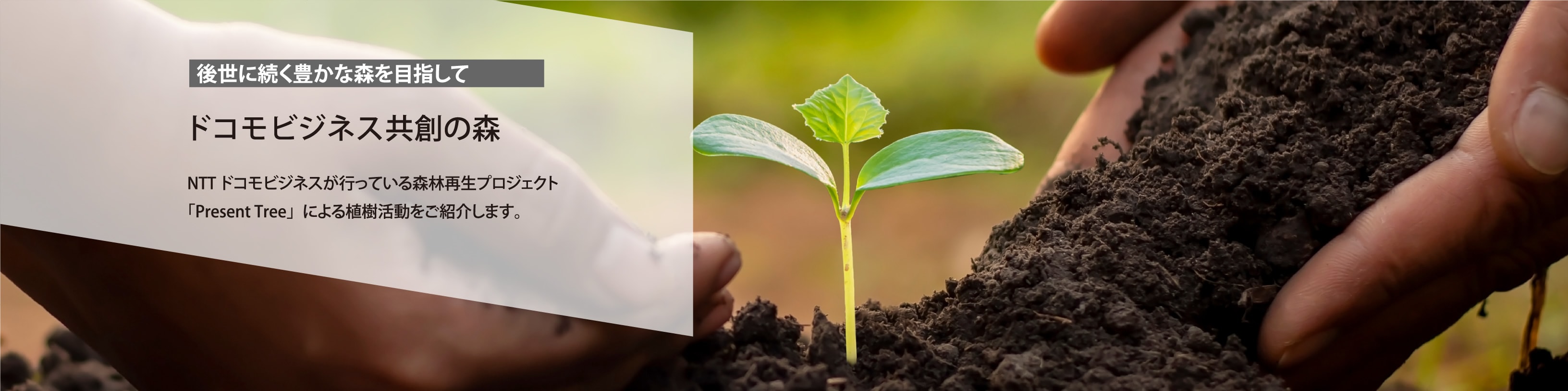 ドコモビジネス共創の森 NTTドコモビジネスが行っている森林再生プロジェクト「Present Tree」による植樹活動をご紹介します。