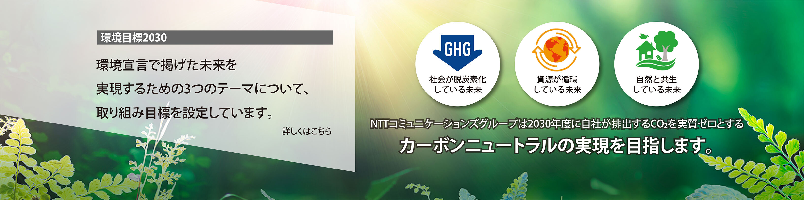 環境目標2030　環境宣言で掲げた未来を実現するための3つのテーマについて、取り組み目標を設定しています。詳しくはこちら　社会が脱炭素化している未来　資源が循環している未来　自然と共生している未来　NTTコミュニケーションズグループは2030年度に自社が排出するCo2を実質ゼロとするカーボンニュートラルの実現を目指します。