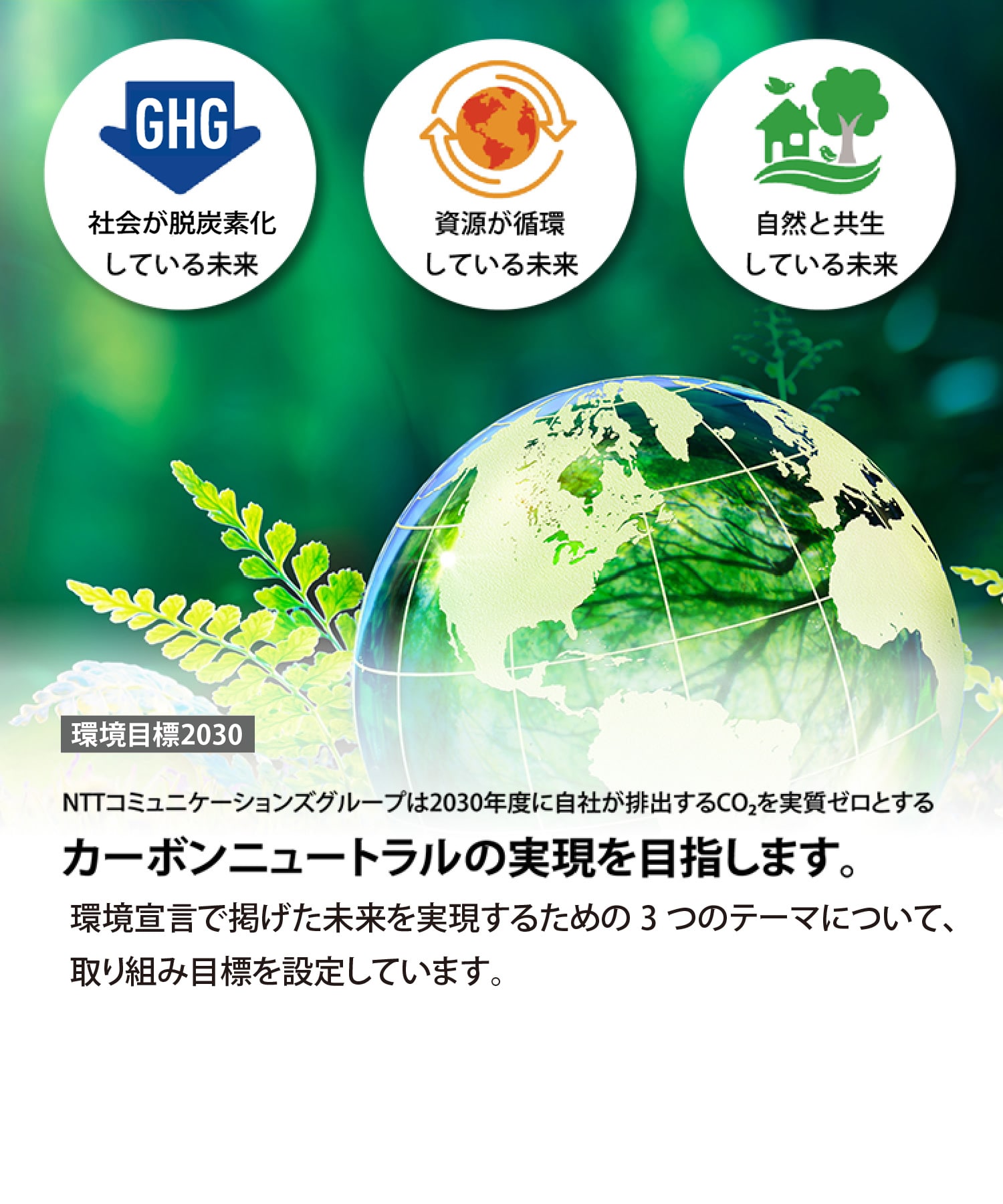環境目標2030　環境宣言で掲げた未来を実現するための3つのテーマについて、取り組み目標を設定しています。詳しくはこちら　社会が脱炭素化している未来　資源が循環している未来　自然と共生している未来　NTTコミュニケーションズグループは2030年度に自社が排出するCo2を実質ゼロとするカーボンニュートラルの実現を目指します。