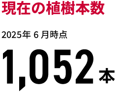 現在の植樹本数 2025年 6月時点 1,052本