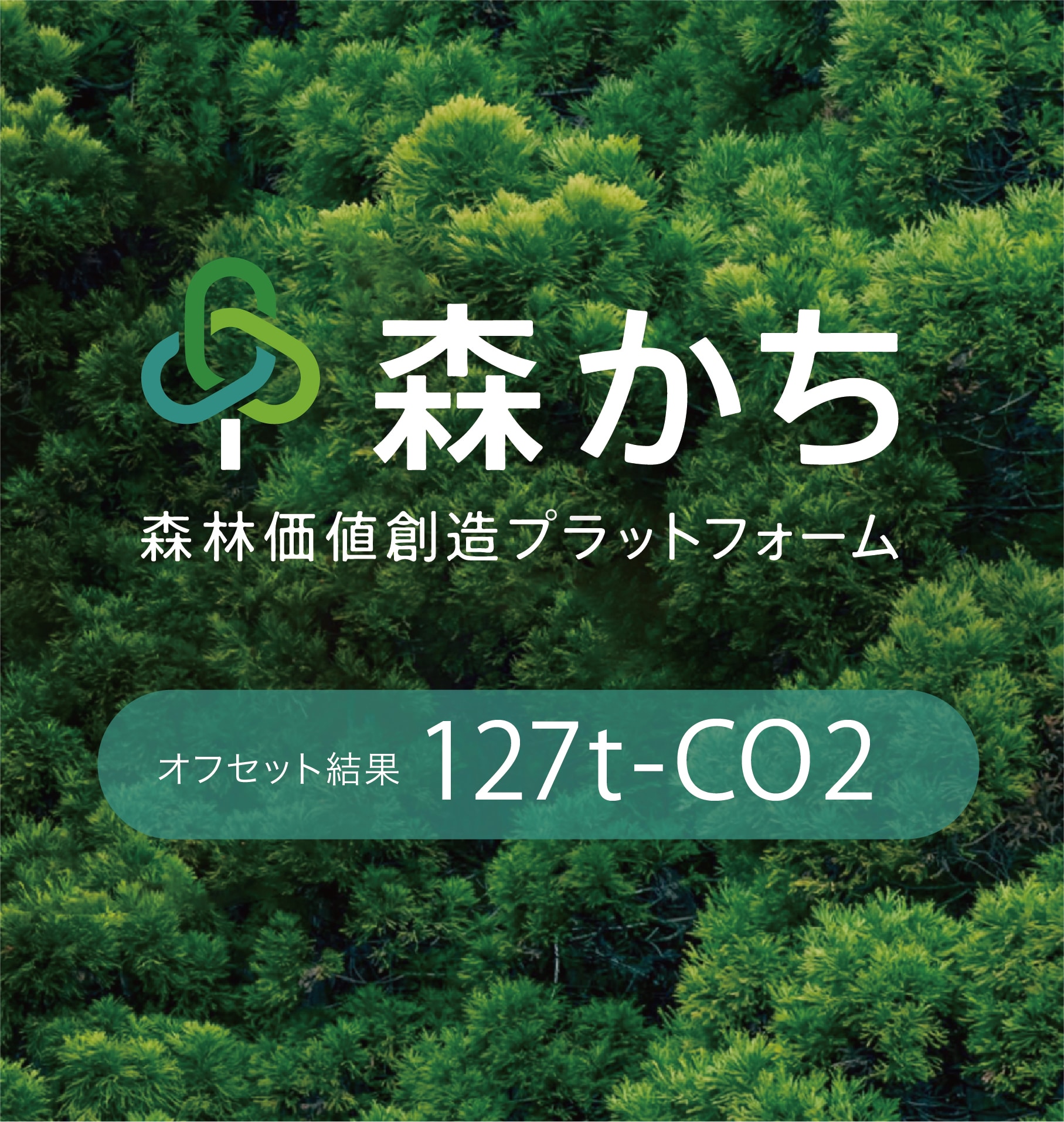 森かち 森林価値創造プラットフォーム オフセット結果 127t-CO2