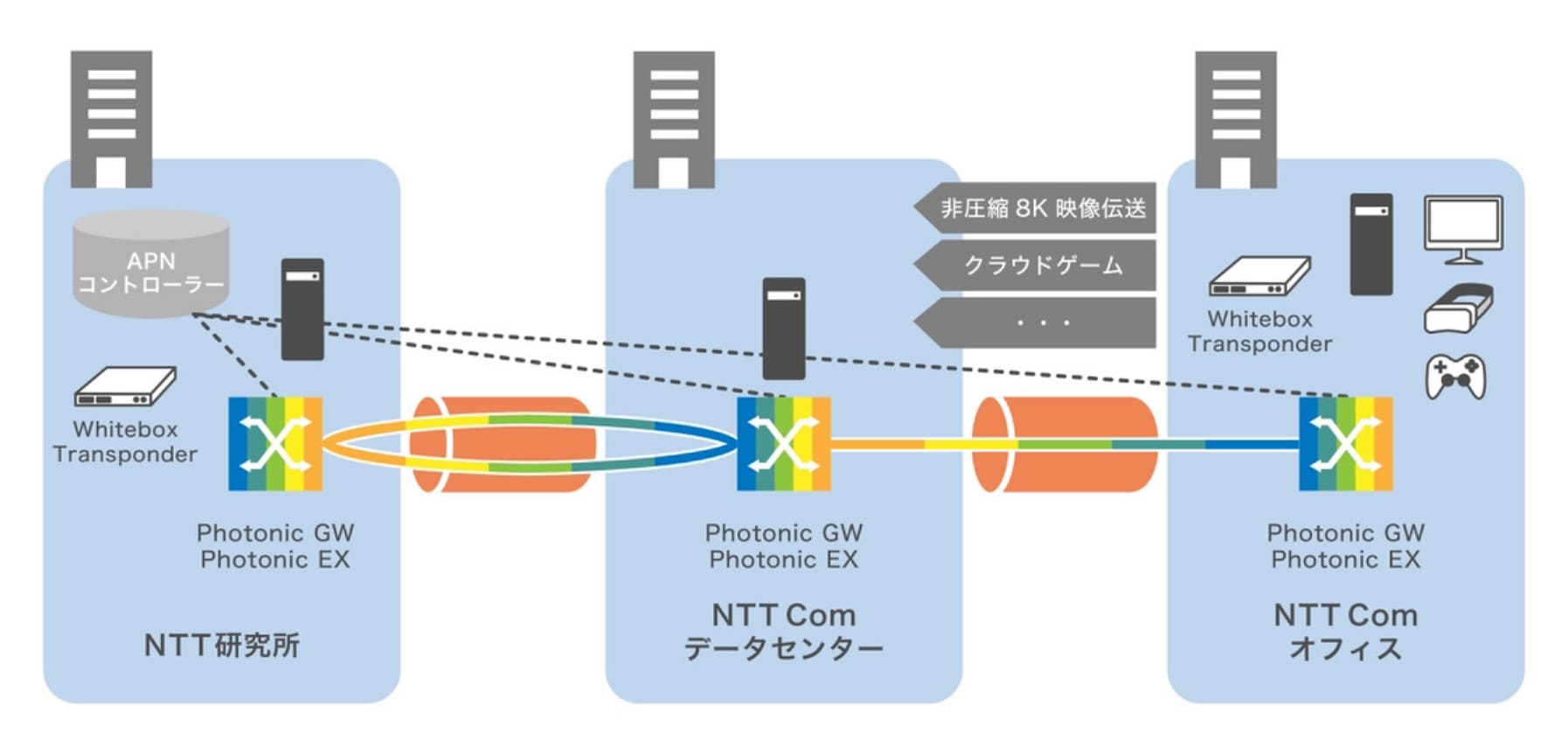 APN検証