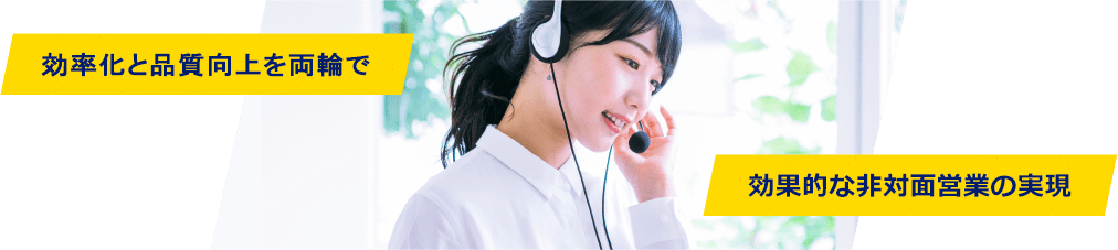 効率化と品質向上を両輪で効果的な非対面営業の実現イメージ