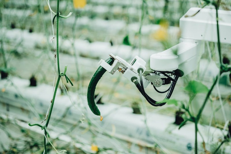 AGRISTのキュウリ収穫ロボット