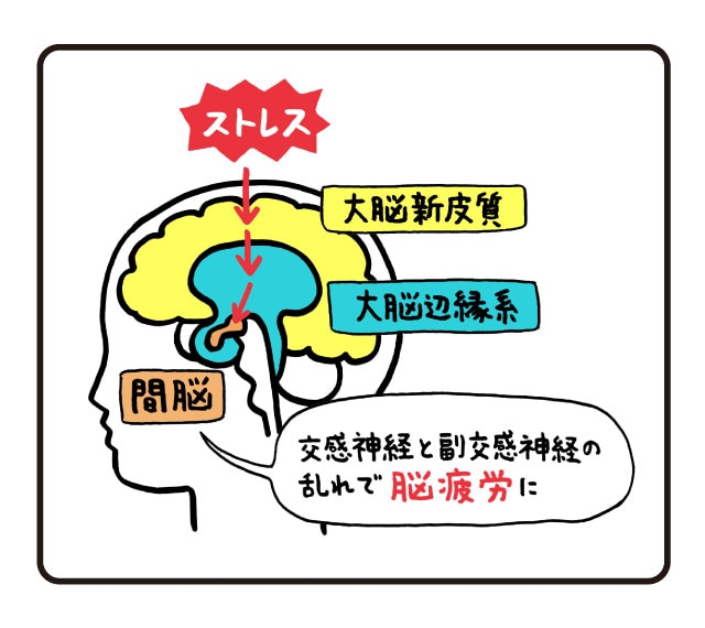 （イラスト：坂木浩子）