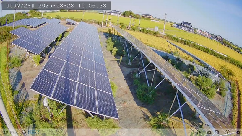 「MS LifeConnect」アプリ画面