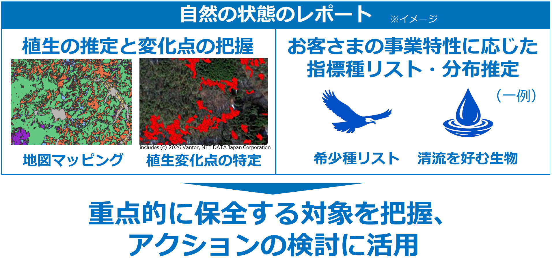 自然資本モニタリングソリューションのアウトプットイメージ。自然の状態のレポートのイメージ 地図マッピングと植生変化点の特定による植生の推定と変化点の把握、希少種リストや清流を好む生物（一例）などお客さまの事業特性に応じた指標種リスト・分布推定 → 重点的に保全する対象を把握、アクションの検討に活用
