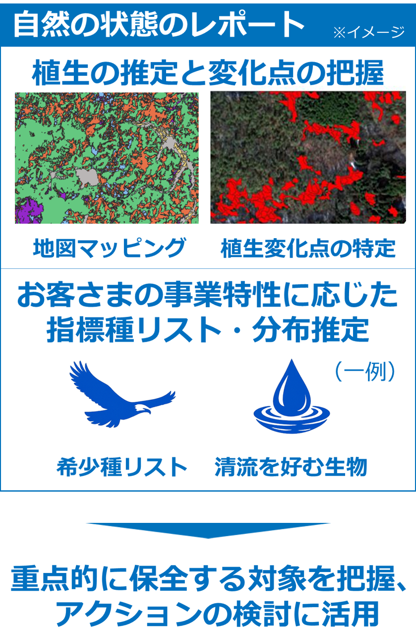 自然資本モニタリングソリューションのアウトプットイメージ。自然の状態のレポートのイメージ 地図マッピングと植生変化点の特定による植生の推定と変化点の把握、希少種リストや清流を好む生物（一例）などお客さまの事業特性に応じた指標種リスト・分布推定 → 重点的に保全する対象を把握、アクションの検討に活用