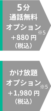 5分通話無料＋880円（税込） かけ放題＋1,980円（税込）