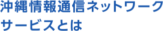 沖縄情報通信ネットワークサービスとは