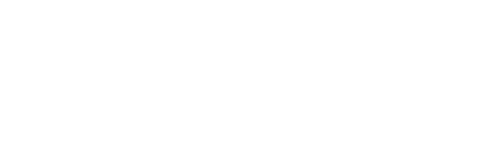 沖縄情報通信ネットワークサービス 沖縄県と首都圏、香港、シンガポール間で低価格かつ高品質なサービスがご利用可能