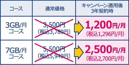 オプション固定グローバルIPアドレス毎月5000円