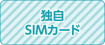 独自SIMカード