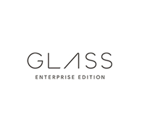 GoogleGlass