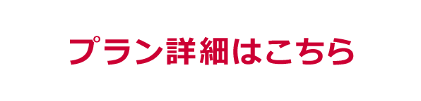 プラン詳細はこちら