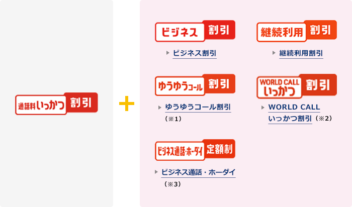 通話料いっかつ割引とビジネス割引、継続利用割引、ゆうゆうコール割引、WORLD CALLいっかつ割引、ビジネス通話・ホーダイ定額制