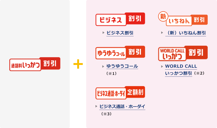 通話料いっかつ割引とビジネス割引、新いちねん割引、ゆうゆうコール割引、WORLD CALLいっかつ割引、ビジネス通話・ホーダイ定額制