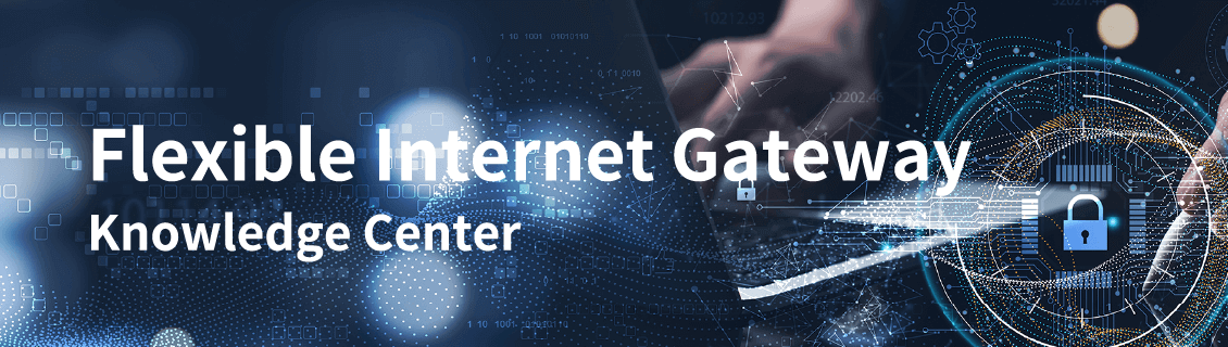 Flexible Internet Gateway Knowledge Center