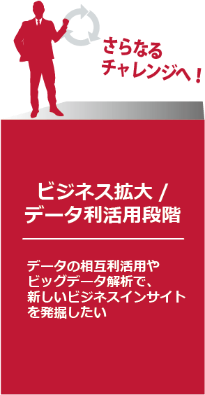 ビジネス拡大/データ利活用段階