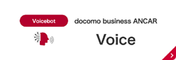 Voice