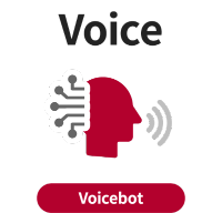 Voice