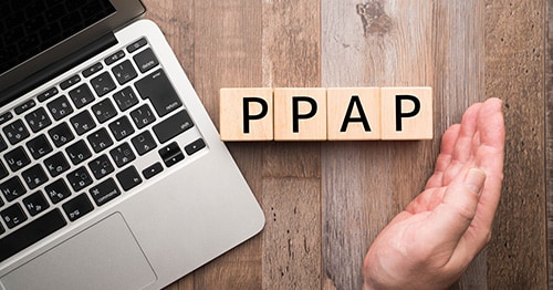 「PPAPとは？ピコ太郎じゃない！？今話題の業務メールのセキュリティ問題「PPAP」のことがわかる」のイメージ画像