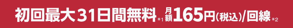 初月無料！月額165円（税込）/回線