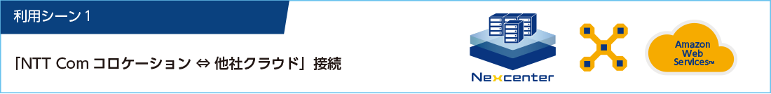 利用シーン１NTT Comコロケーション↔︎他社クラウド接続